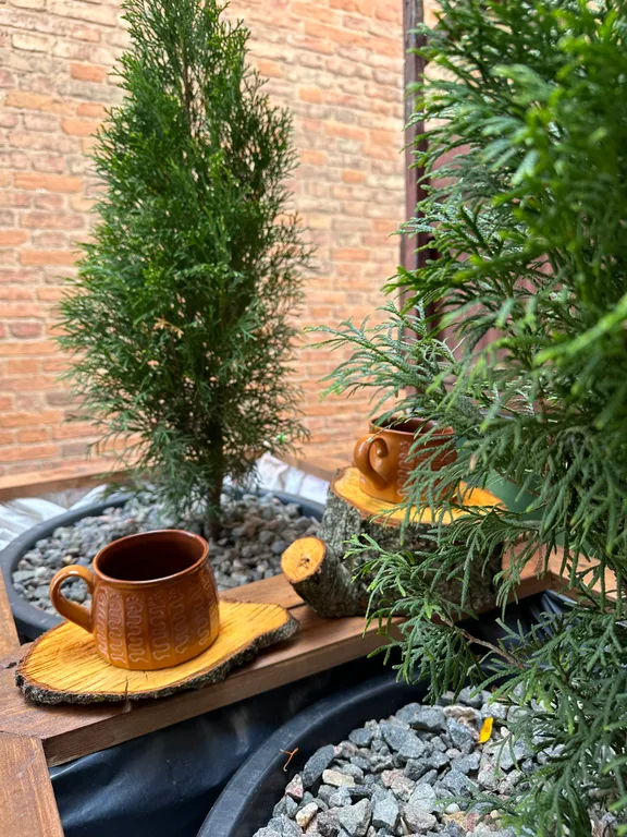 Vip квартира