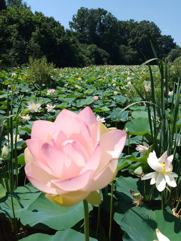 4-комнатный Дом