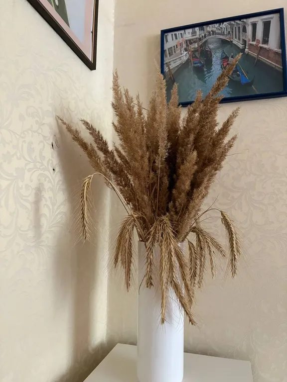 Уютная квартира в центре города с хорошим ремонтом и мебелью