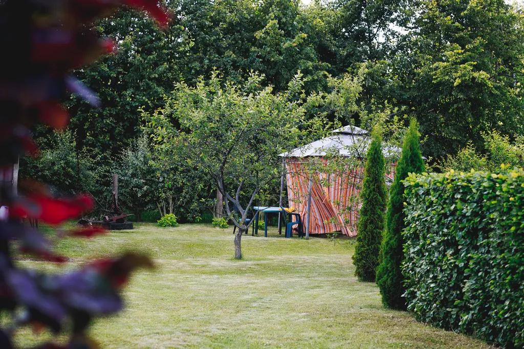 Отдых в деревне на берегу Балтийского моря