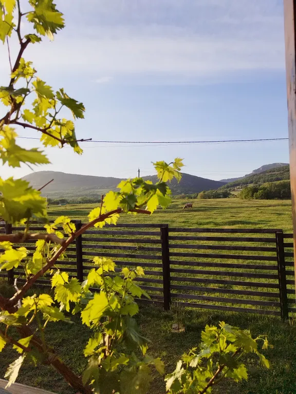 Коттедж Дом для отдыха Mеdley с домашним кинотеатром, террасой и джакузи — Гончарное