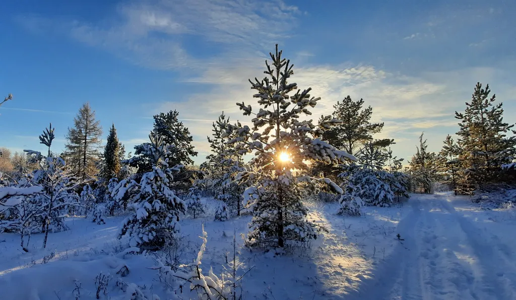 Уютный коттедж