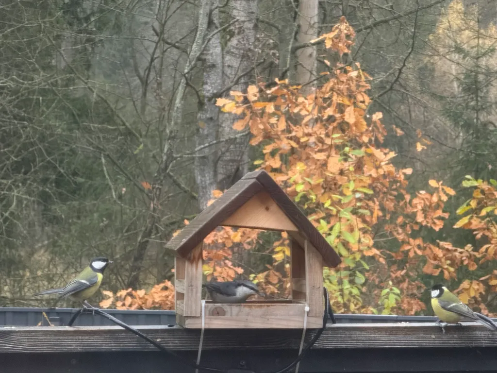 Дом с баней на Истринском водохранилище