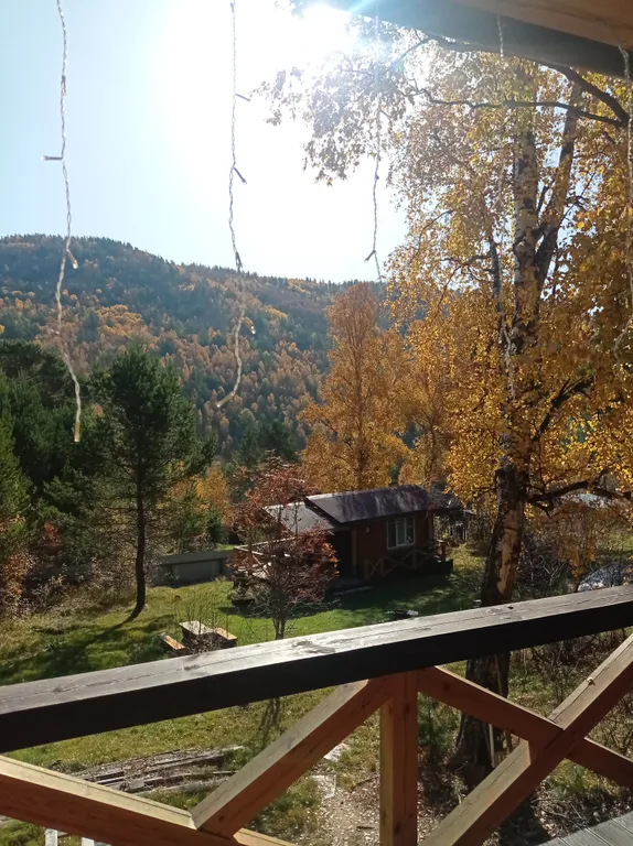 Коттедж Гостевой дом Байкальская тайга — аренда посуточно в Листвянка (Байкал)