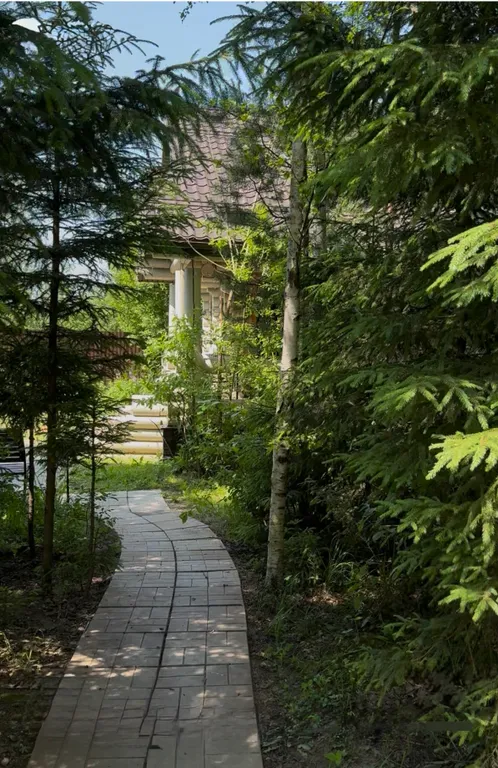 Гостевой дом солнечный день