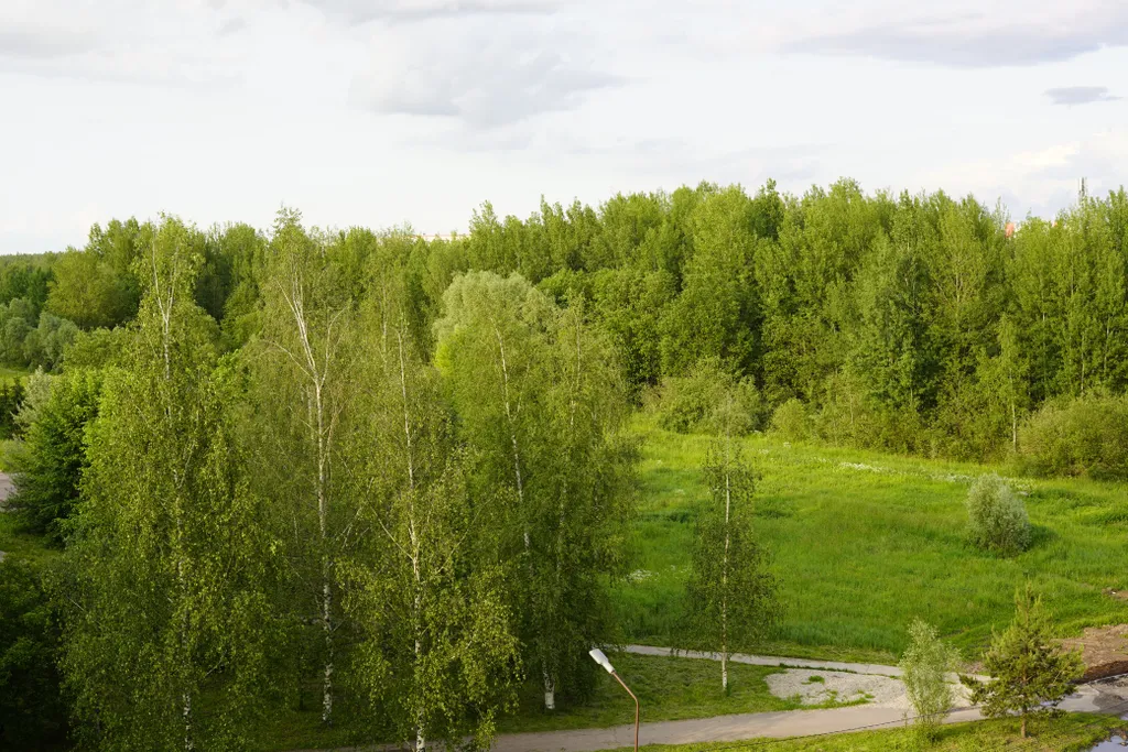 Уютная квартира Сороки