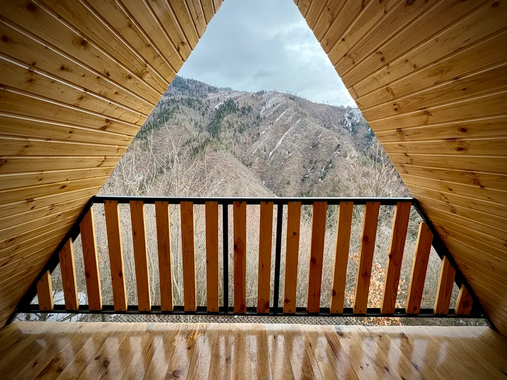 Шале Кедари