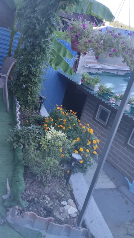 Жильё у моря