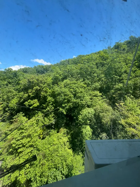 Уютная квартира в центре Лазаревского