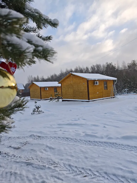 Дом с видом на лес Дача грибника
