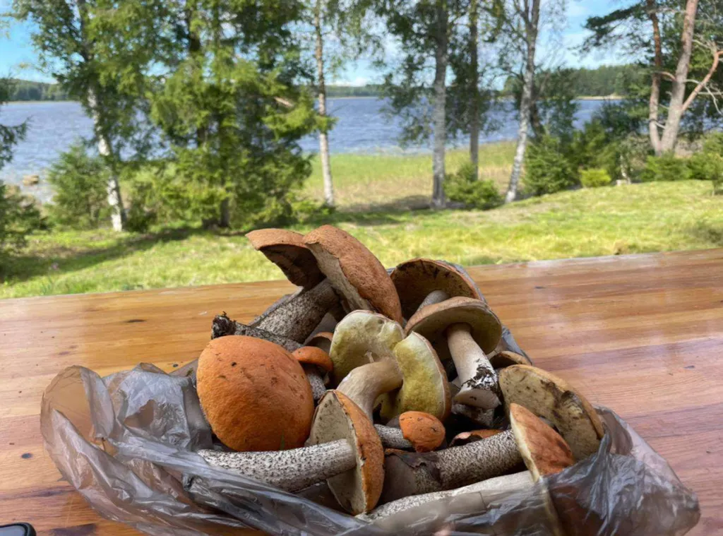 Дома "Янискиви" с видом на море Карельское