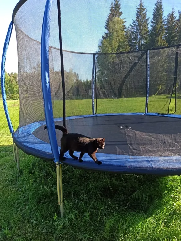 Загородный клуб Черника