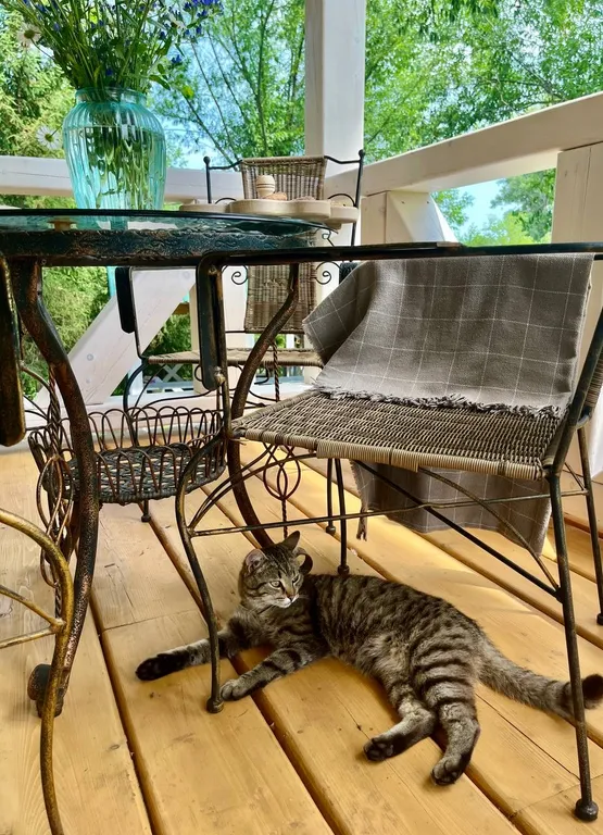 Просторный новый дом на берегу озера у родника