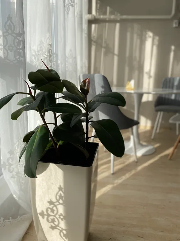 Апартаменты у моря