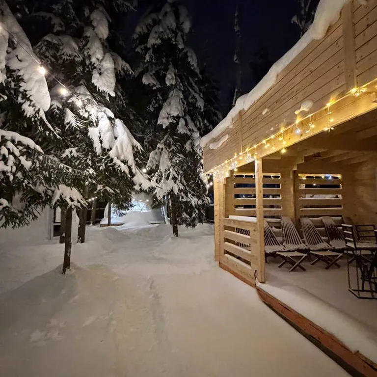 Сфера в сосновом лесу