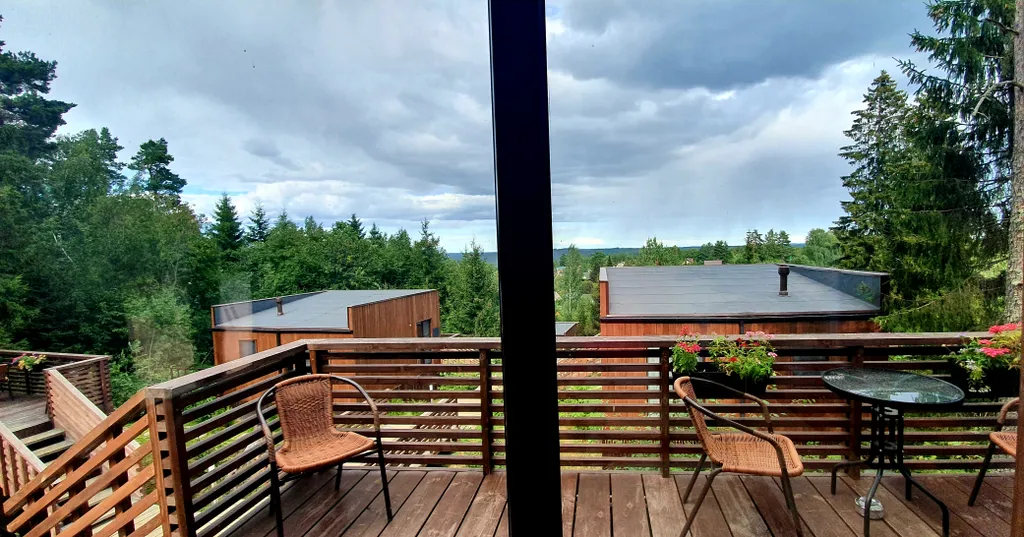 Черничный склон коттедж Violet house