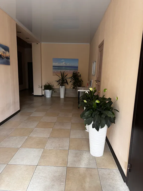 Квартира Уютные апартаменты в Олимпийском парке — Сириус