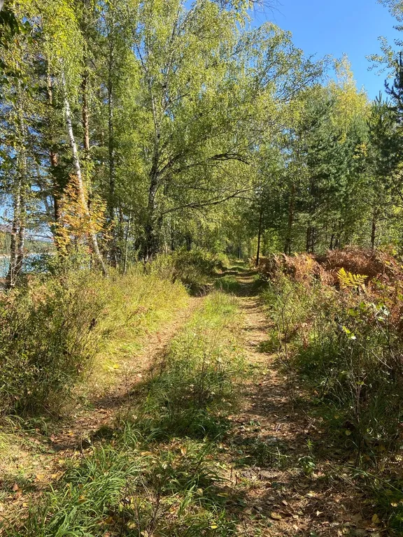 Гостевой домик на берегу Катуни