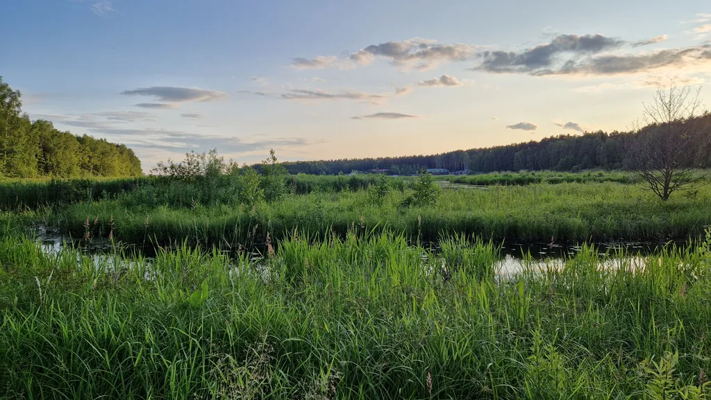 Коттедж с сауной комфорт-класса на реке Яхра