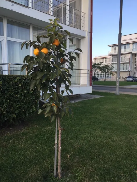 Квартира Апартаменты у моря — Сириус