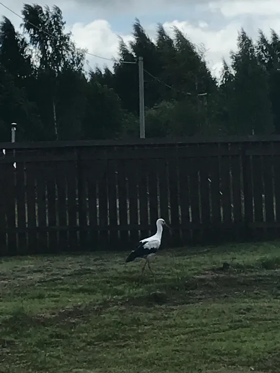 Пушкинские Горы