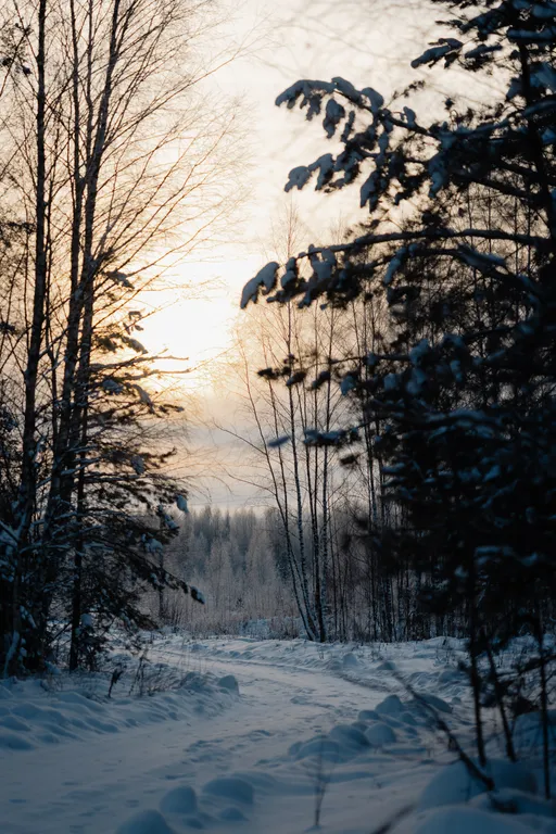 Уютный дом в лесу с панорамой и СПА комплексом