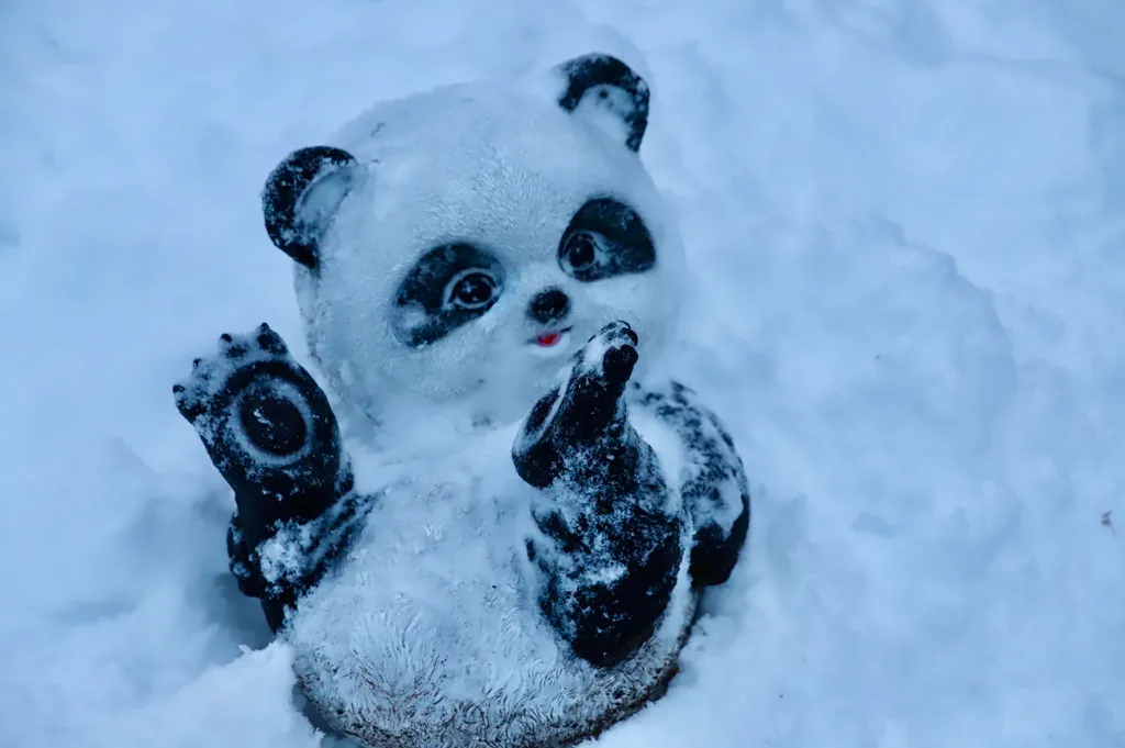 База отдыха Хэйлун Дом №2 Шанхай