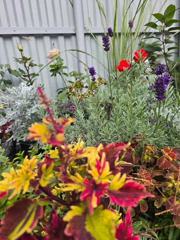 Коттедж Гостевой дом с видом на горы — Кисловодск