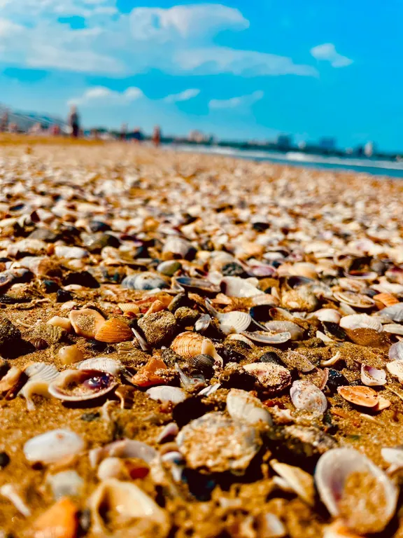 Квартира Квартира На берегу — Анапа