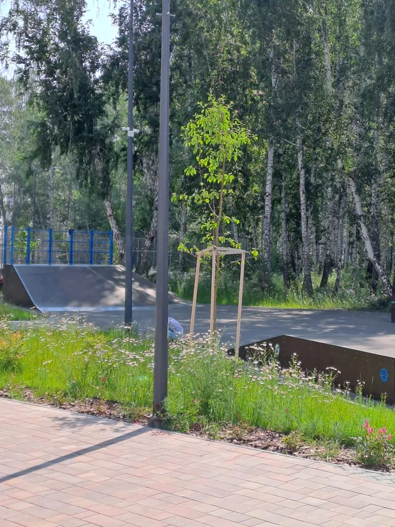 Комфортные апартаменты в ЖК Ньютон