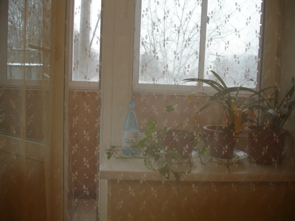 Уютная квартира где городской парк