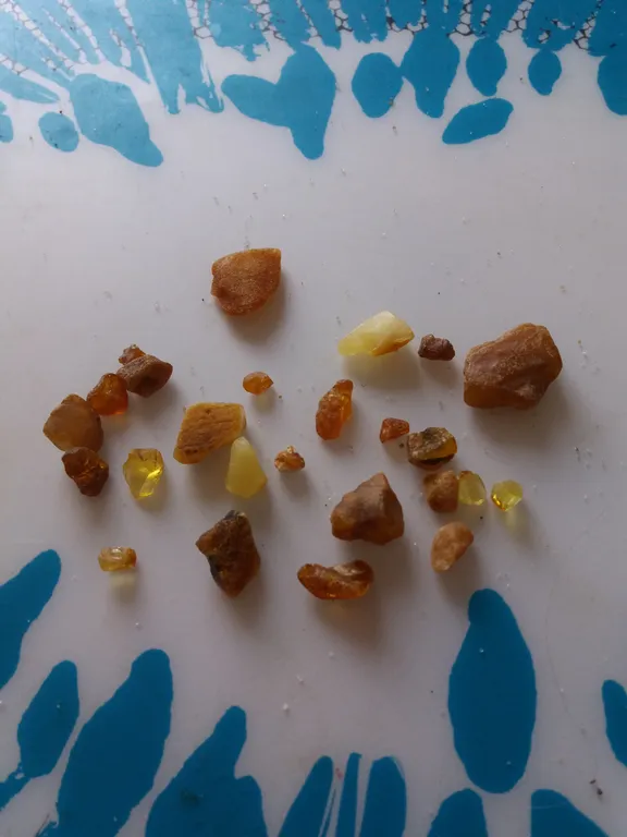 Квартира Отдых у моря в новой квартире — Зеленоградск