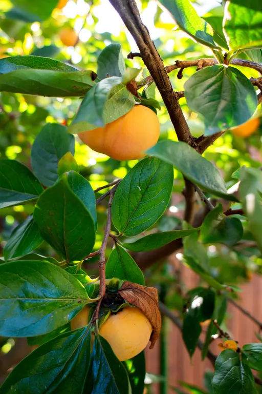 Уютный дом в центре