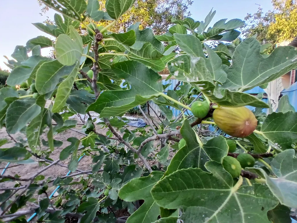 Коттедж Гостевой дом Южный — Кучугуры