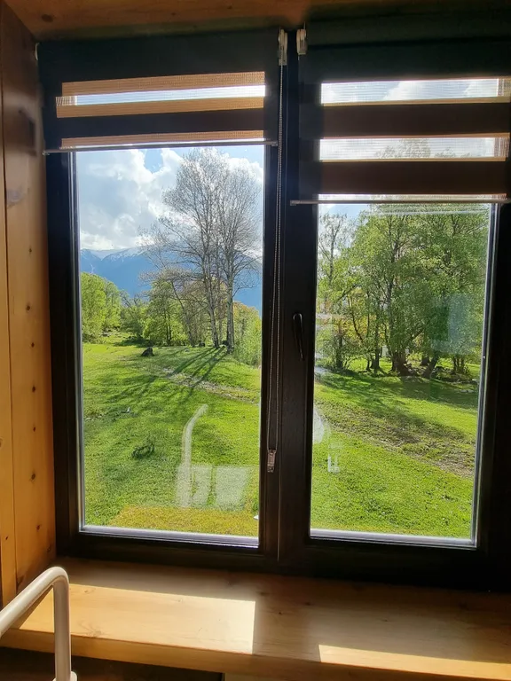 Живописный уголок в лесу вдали от городской суеты