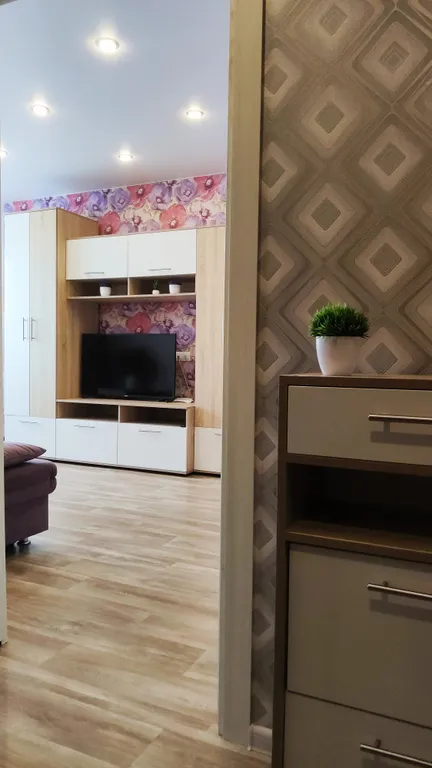 1-комнатная квартира с раскладным диваном и креслом