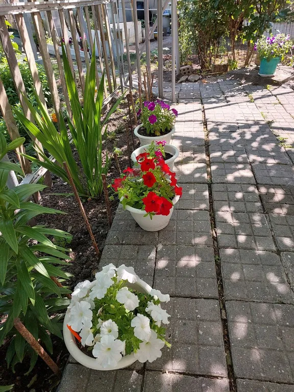 Коттедж Дом на море — Геленджик