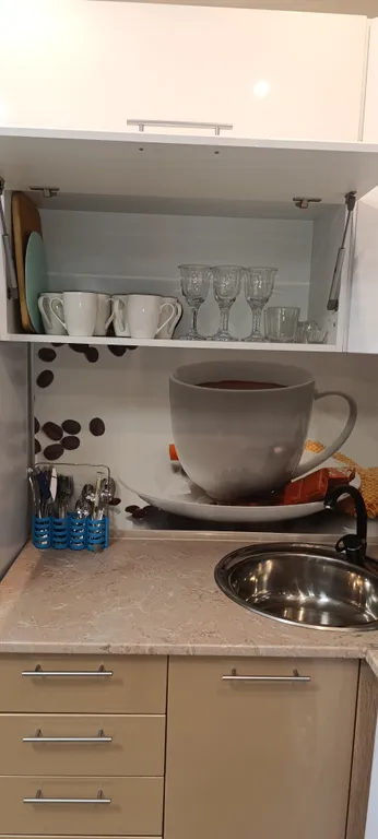 Студия напротив Онкологического центра