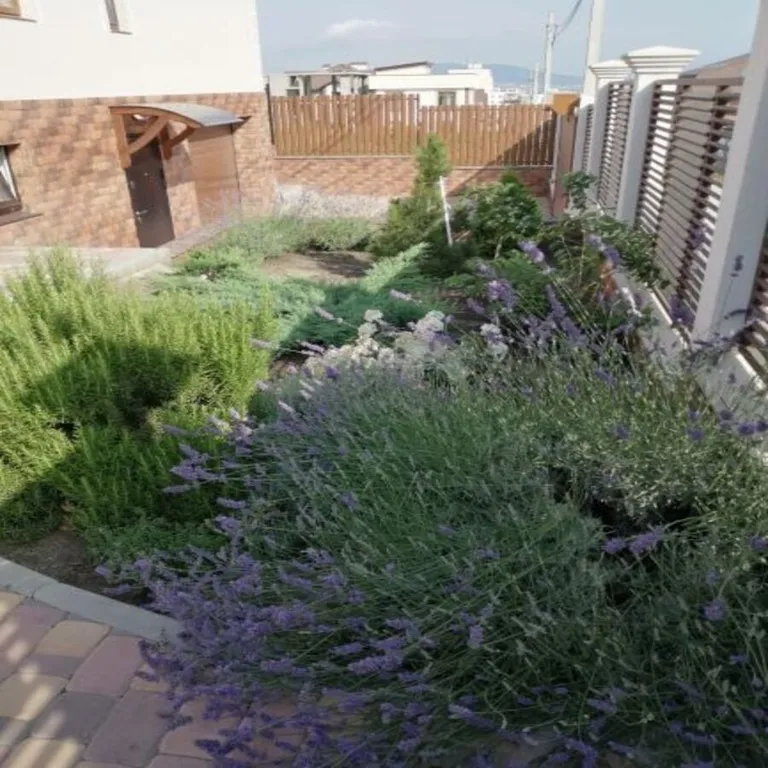 Коттедж 3-комнатный Дом — Геленджик