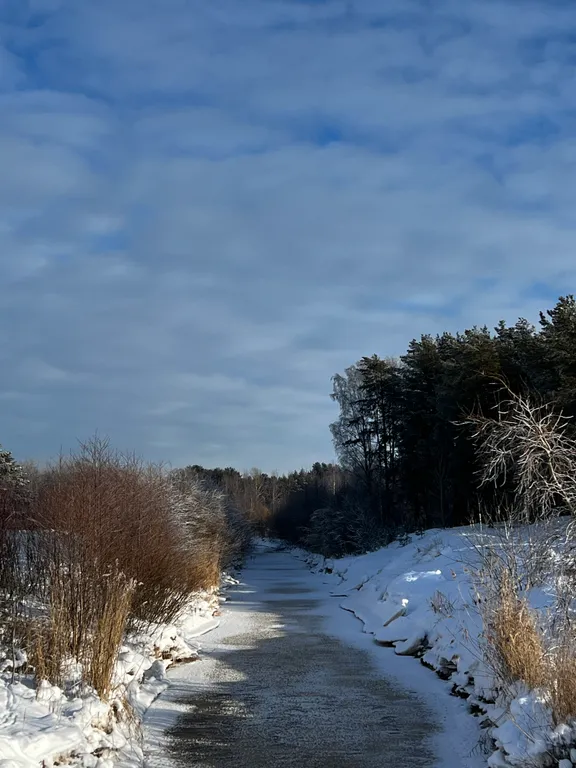 Апартамент на берегу Финского залива, 1 линия, Светлый мир внутри
