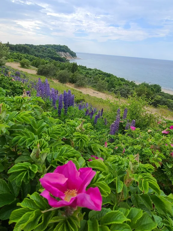 Прибрежный уголок для отдыха на природе