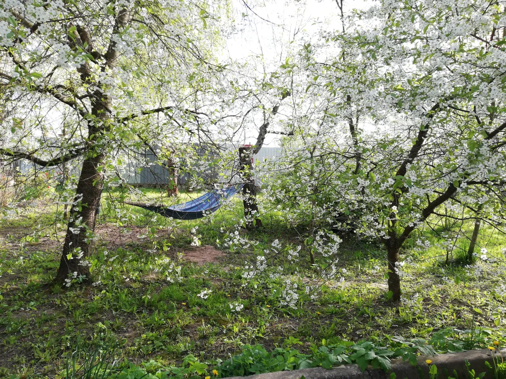 Домик в деревне