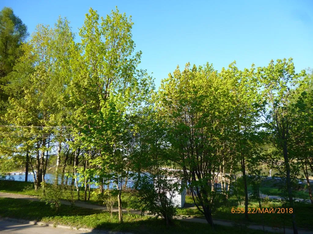 1-комнатная Квартира — аренда посуточно в Сортавала