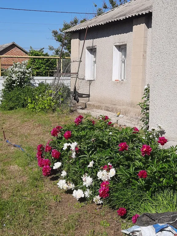 Деревенский домик