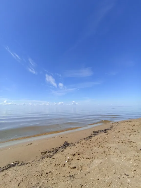 Дом с видом на Чудское озеро