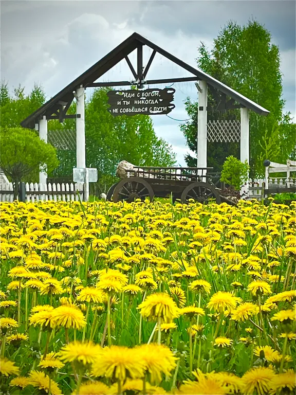 Дом в Счастье