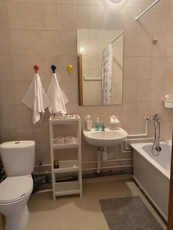 Квартира Просторная квартира у НИИ Петрова/Гранова — Песочный