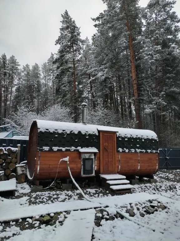 Дом в сосновом лесу