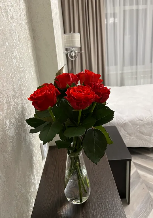 Уютная квартира в центре города с видом на горы