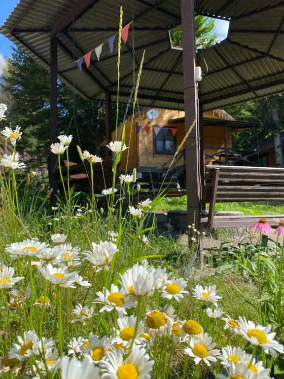 Уютный номер со всеми удобствами